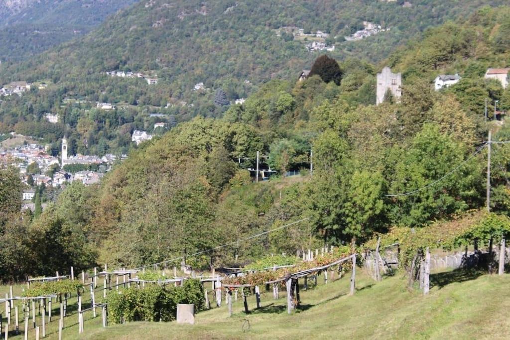La Casa Nel Prunent Trontano Экстерьер фото